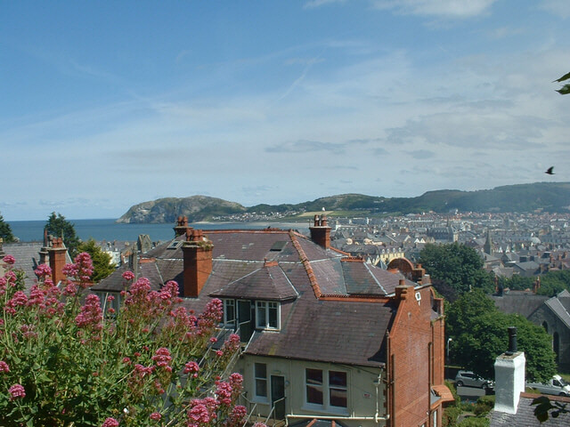 View image 2
